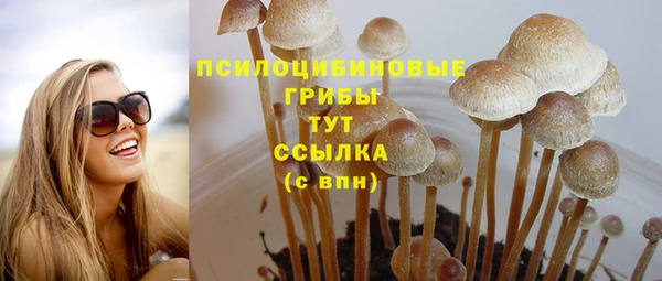 стафф Армянск