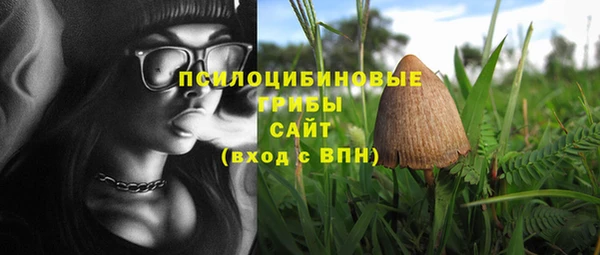 дурь Арсеньев