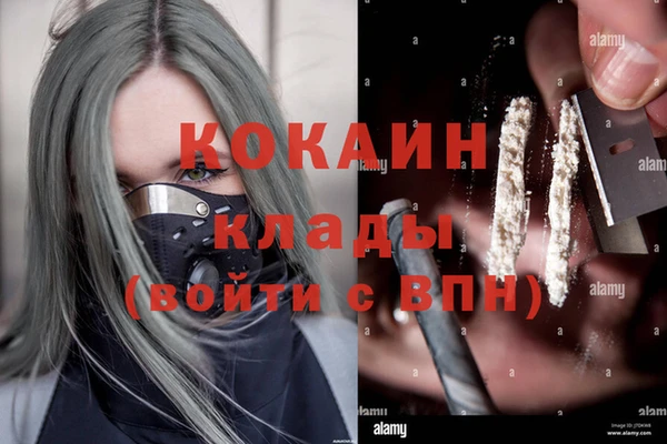 дурь Арсеньев