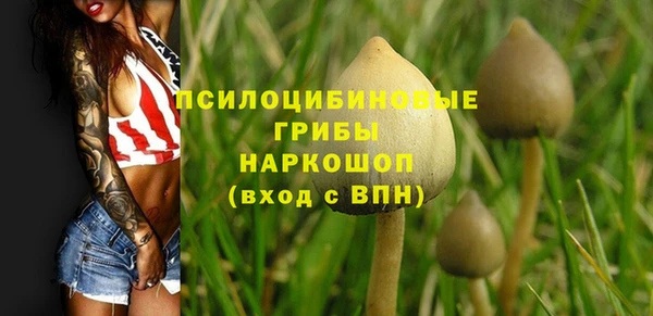 дурь Арсеньев