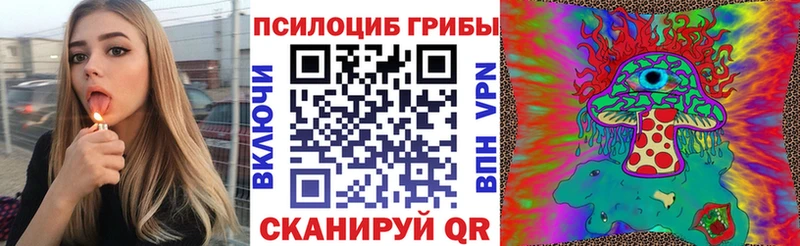 Галлюциногенные грибы Magic Shrooms где найти наркотики Бор